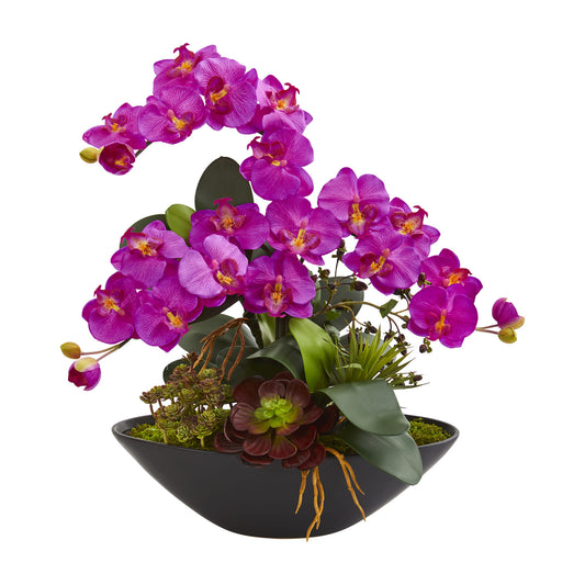 Orchid and Mixed Succulent Garden Artificial Arrangement in Black Vase